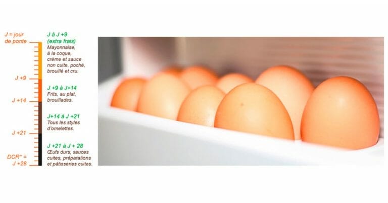 Comment conserver les œufs frais pour une durée maximale ?