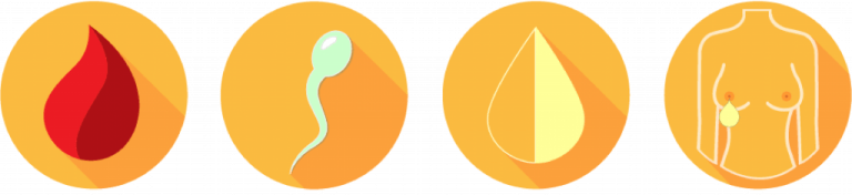 Les moyens de transmission du sida et comment les prévenir