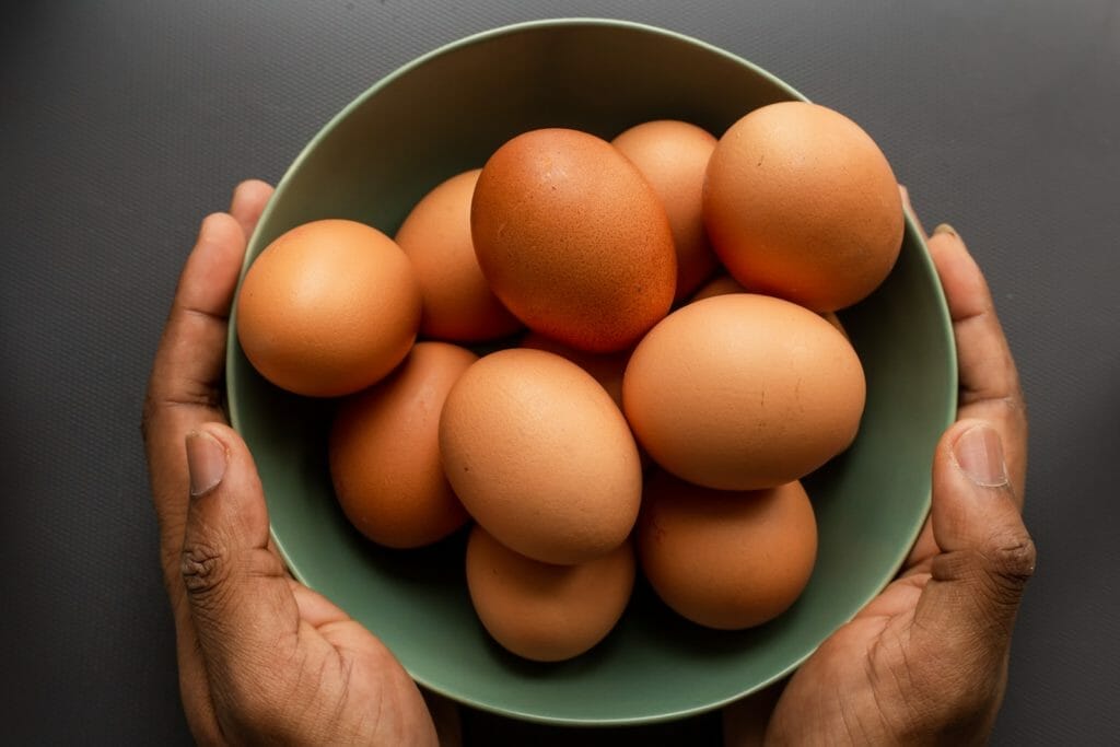 conserver ses oeufs plus longtemps